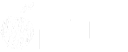 Nu1o Logo White